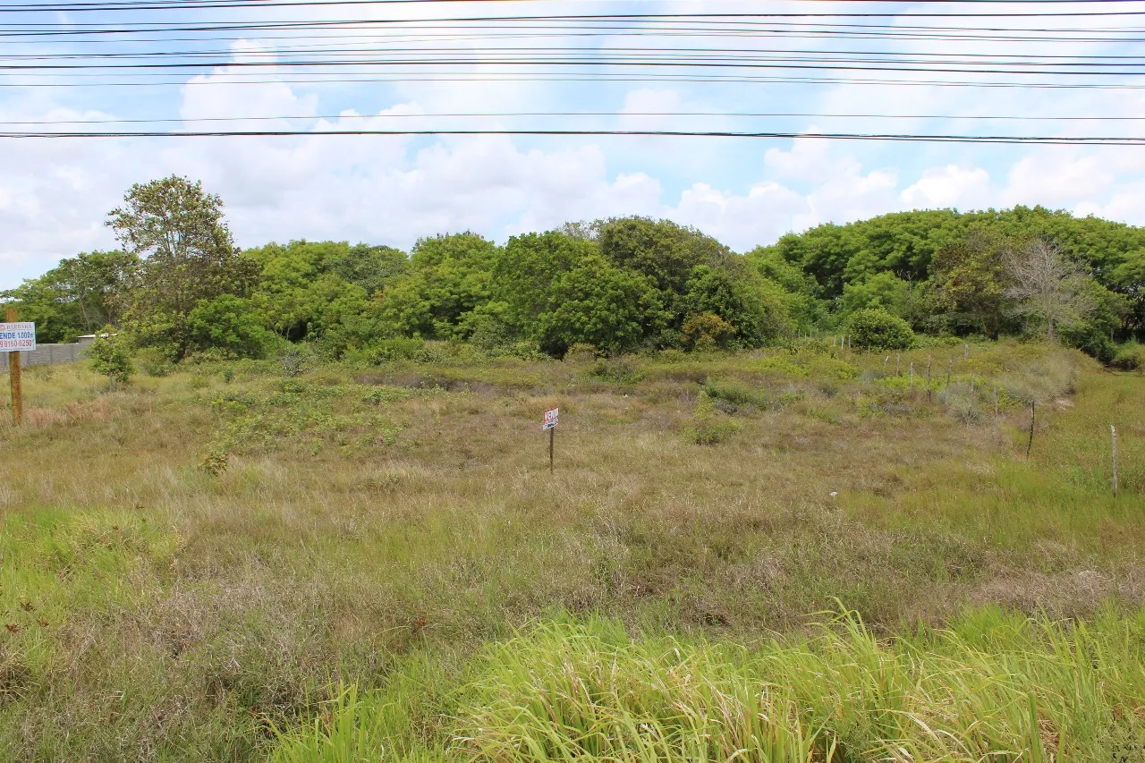 Terreno Comercial – Barra de Jacuípe